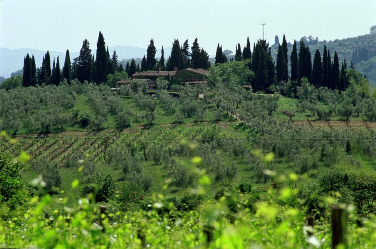 バルベリーノ・ヴァル・デルサ Fattoria Casa Solaゲストハウス エクステリア 写真